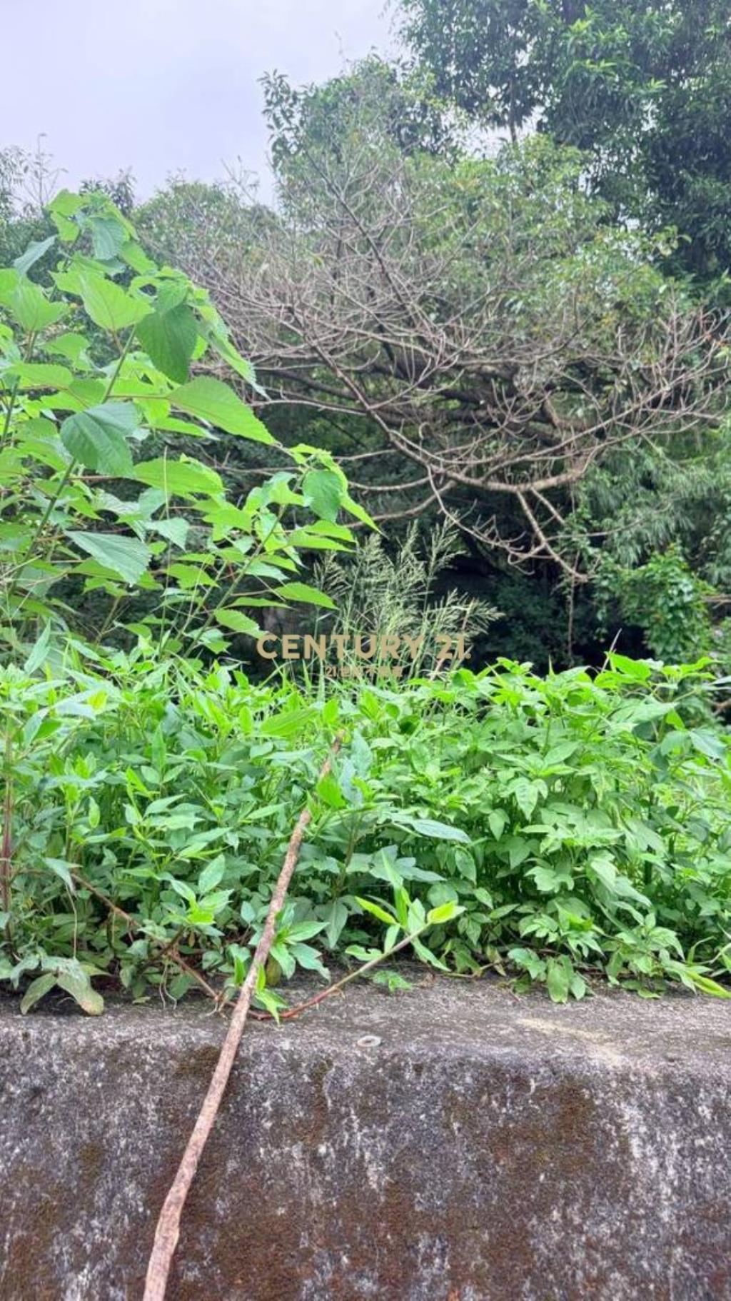龜山和風別墅旁小坪數建地(A)