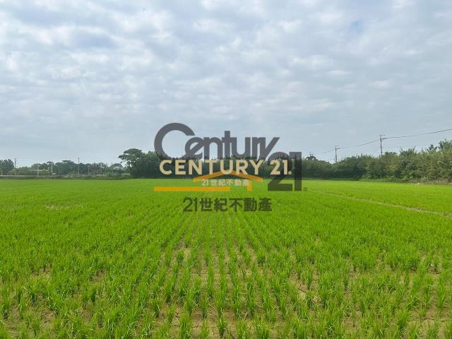 近上湖國小美農地