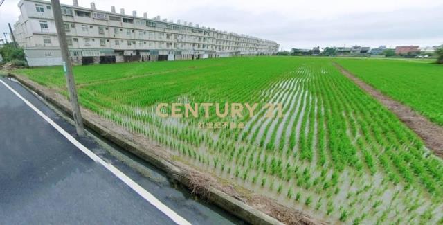 觀音保興路三段角地(可分比出售)