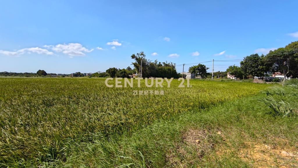 楊梅稀有合法農地鹿場+廠房