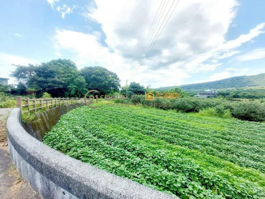 【向陽團隊】金山景觀美農地