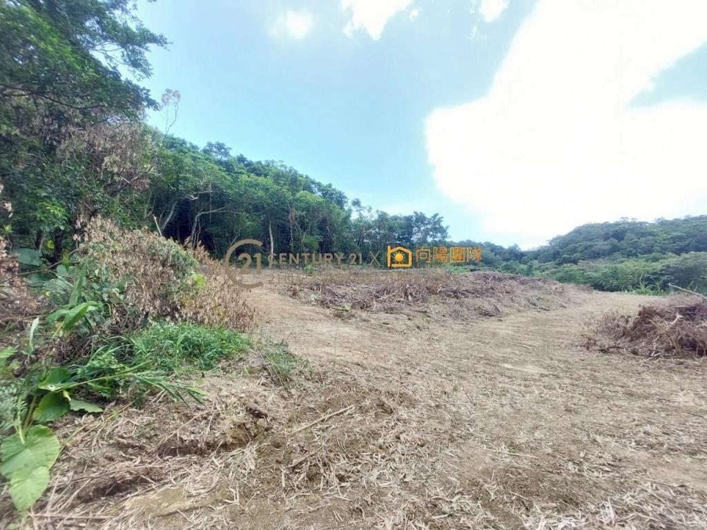 【向陽團隊】金山景觀美農地