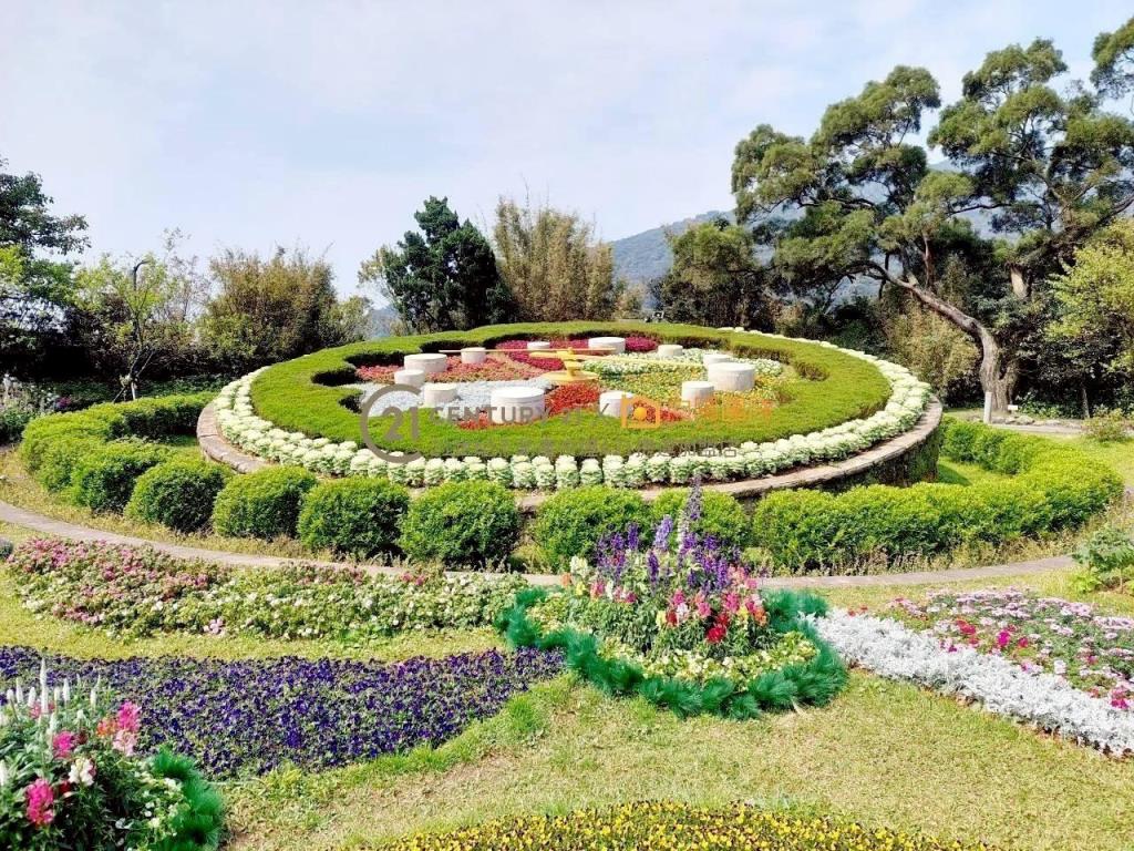 【向陽團隊】金山景觀美農地