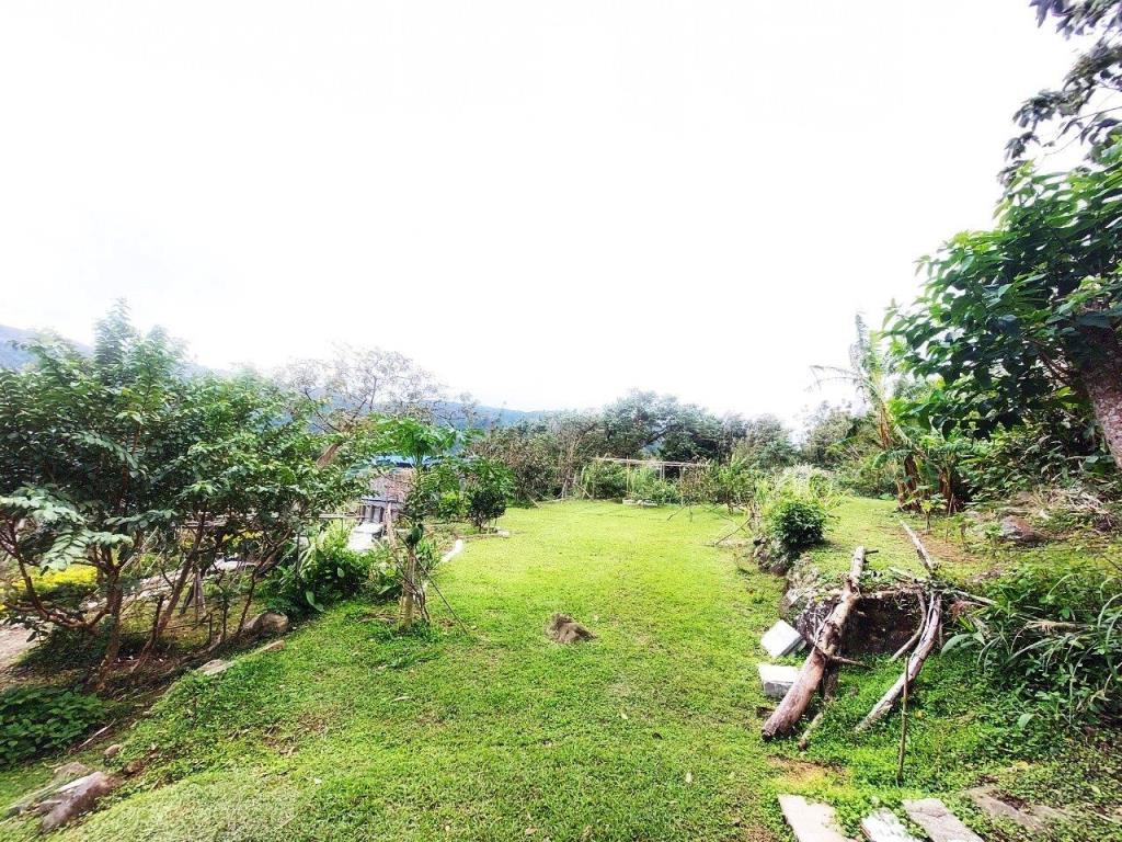 【向陽團隊】陽明山景觀農地