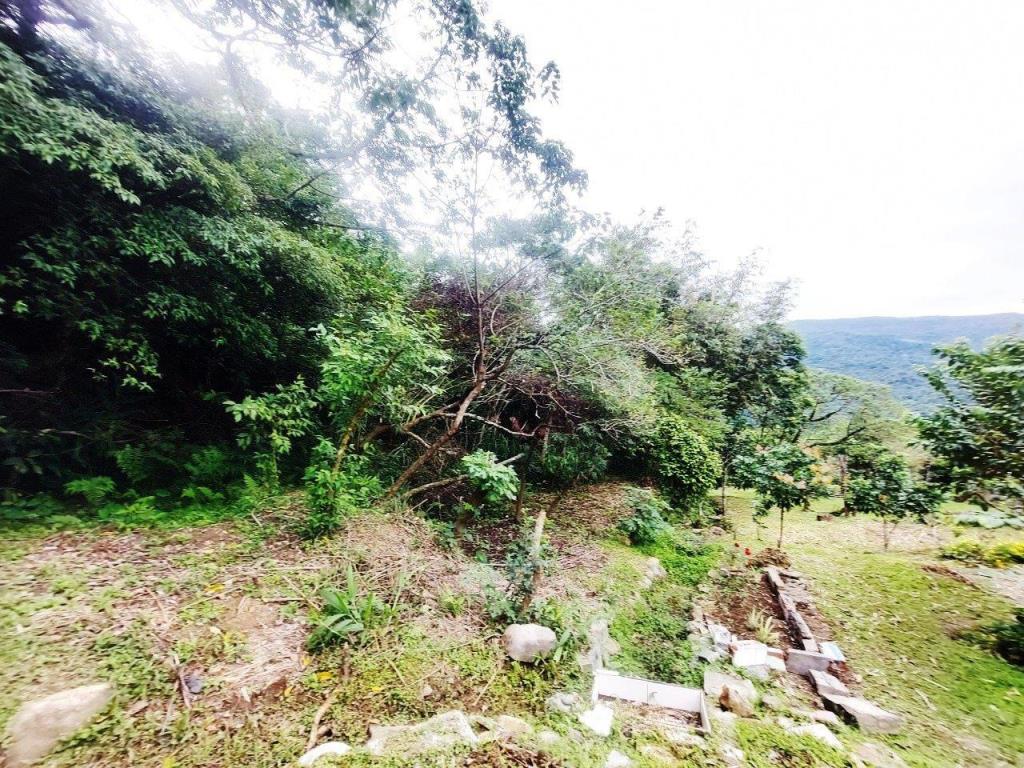 【向陽團隊】陽明山景觀農地