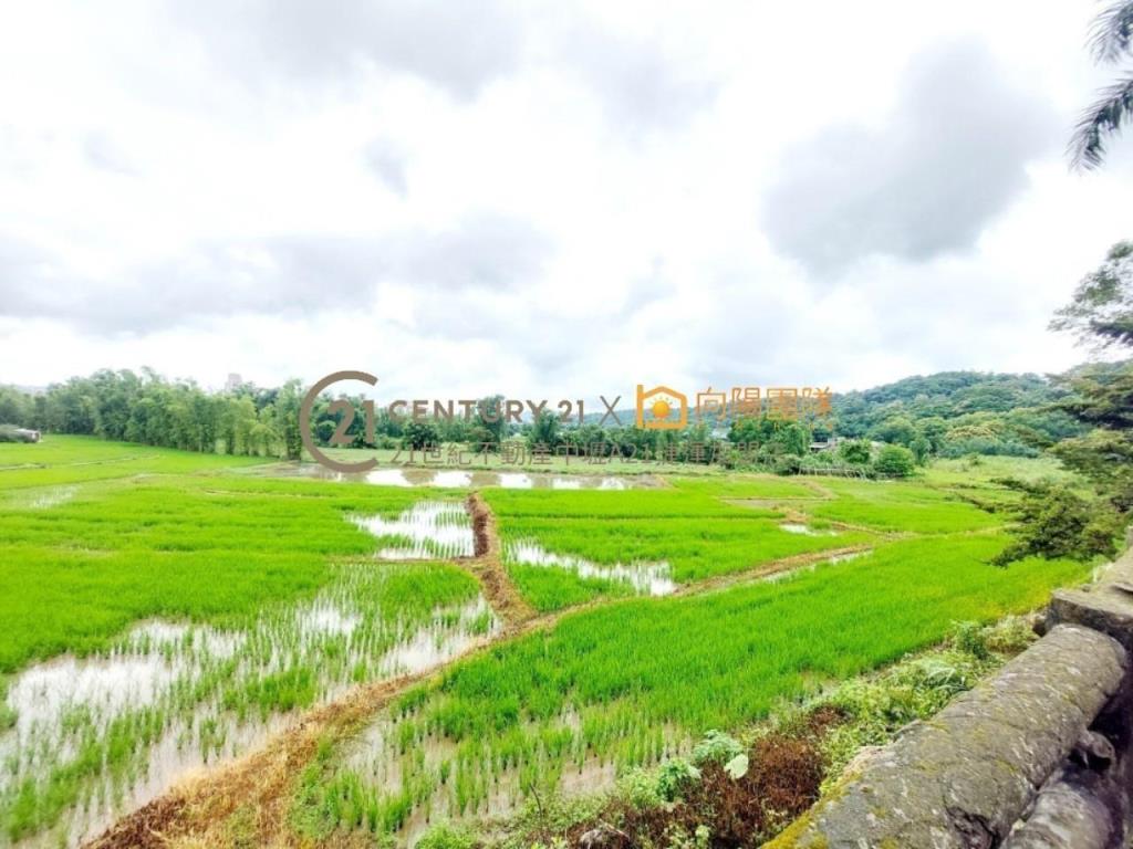 【向陽團隊】大溪慈湖山莊百坪大別墅