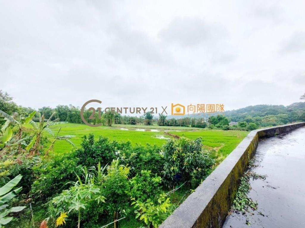 【向陽團隊】大溪慈湖山莊百坪大別墅