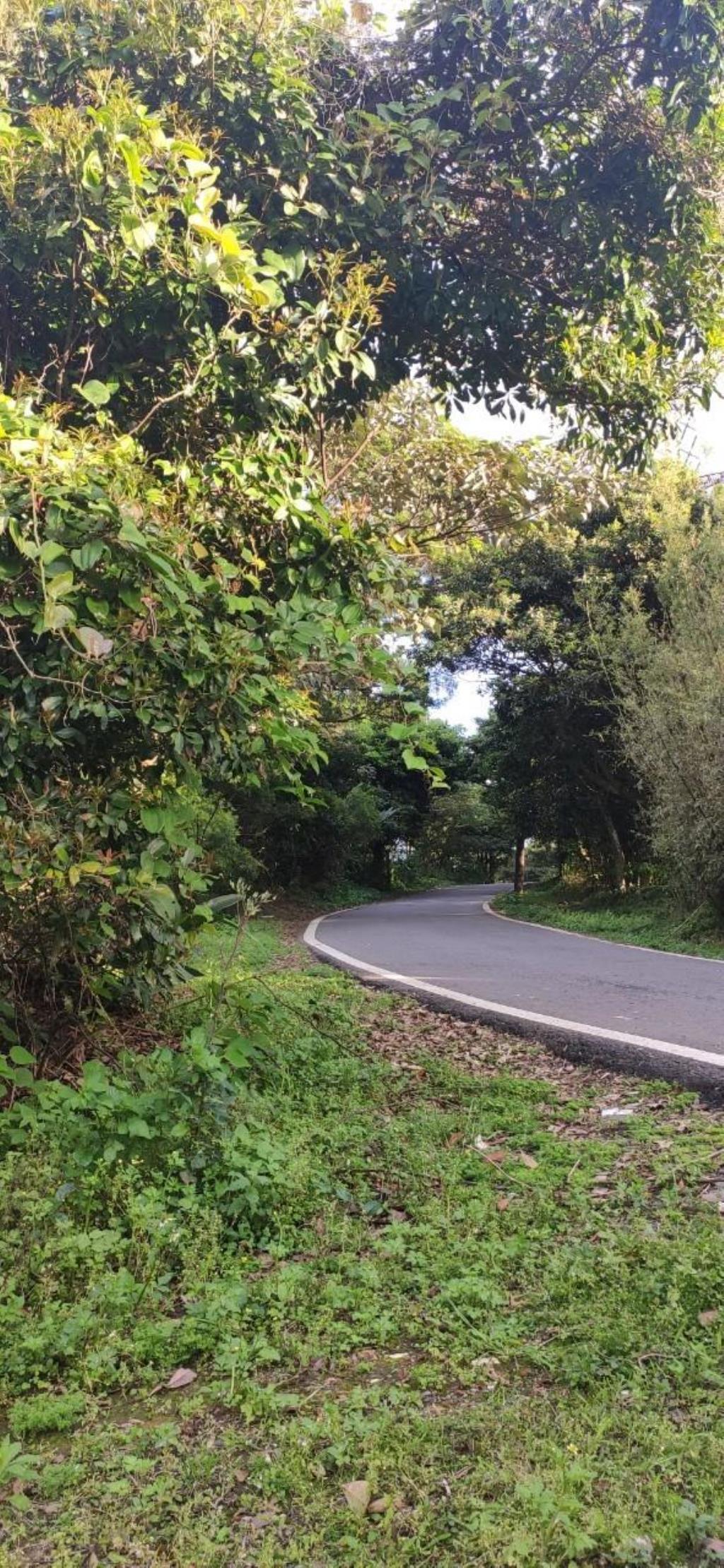 【向陽團隊】三芝區茂長段大地坪農地