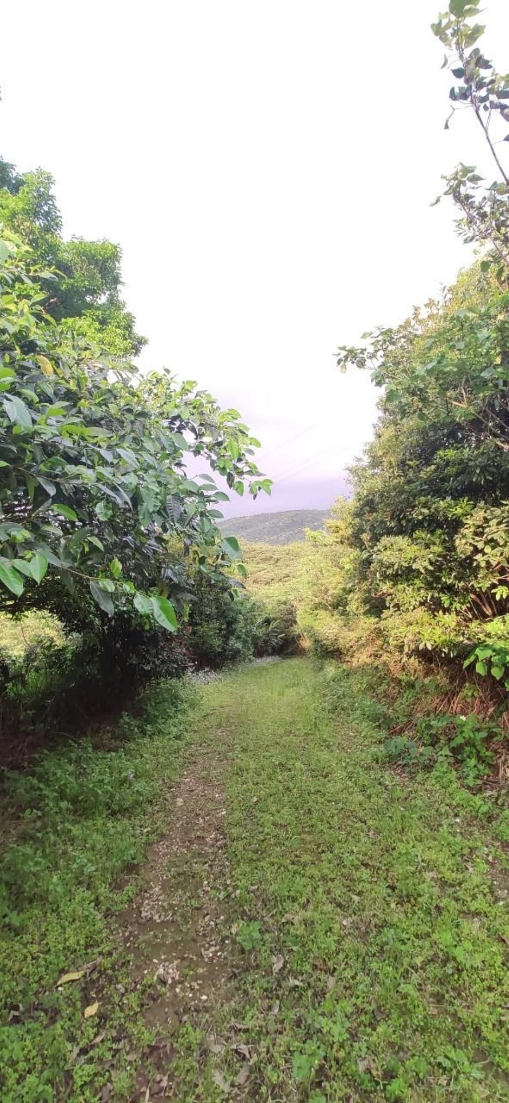 【向陽團隊】三芝區茂長段大地坪農地
