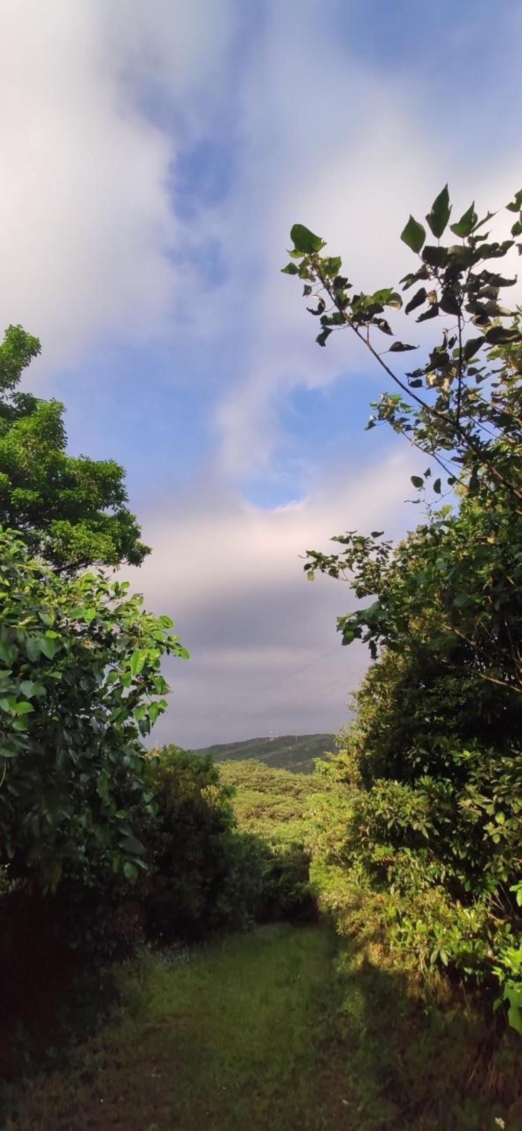 【向陽團隊】三芝區茂長段大地坪農地