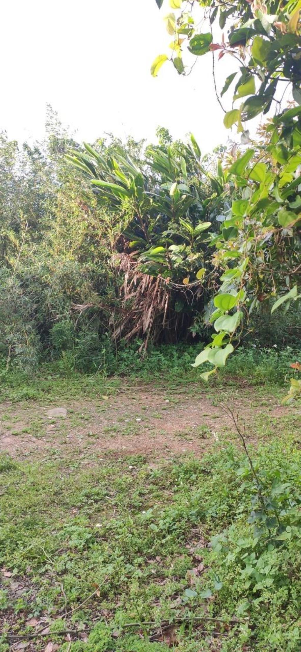 【向陽團隊】三芝區茂長段大地坪農地