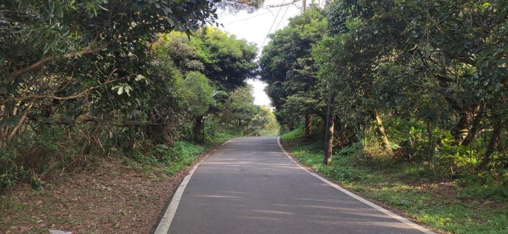 【向陽團隊】三芝區茂長段大地坪農地