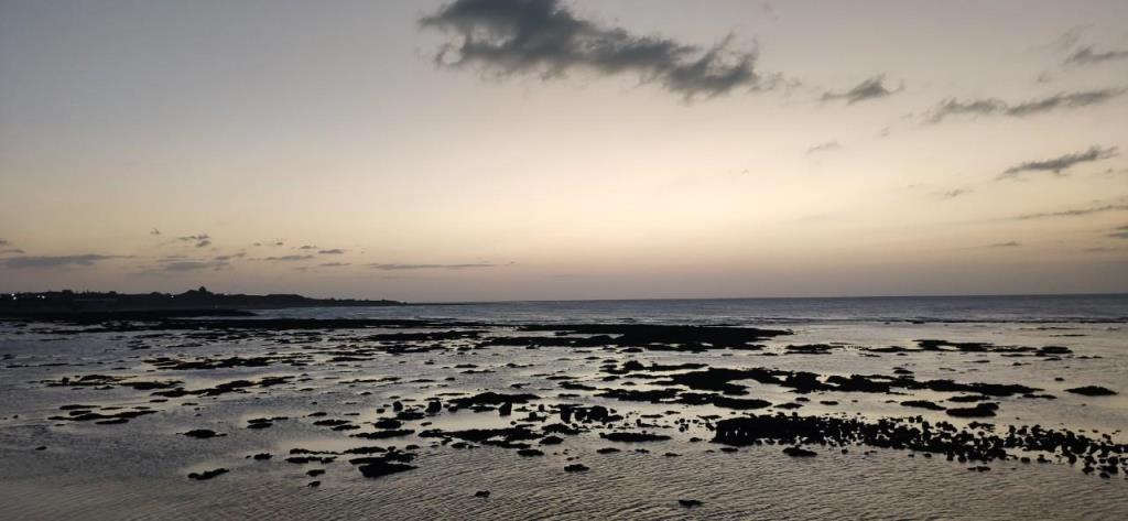 【向陽團隊】三芝區茂長段大地坪農地