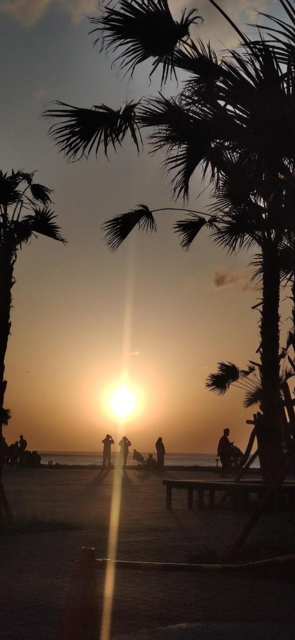 【向陽團隊】三芝區茂長段大地坪農地