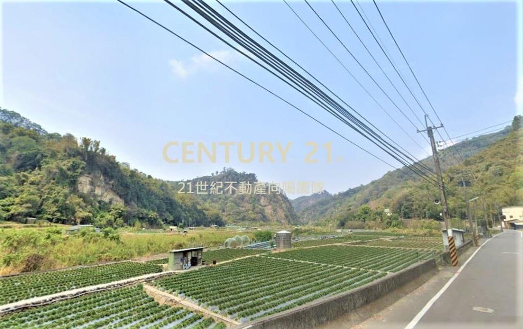 【向陽團隊】大湖休閒農場用地