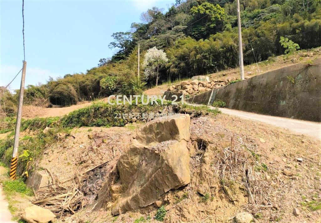 【向陽團隊】大湖休閒農場用地