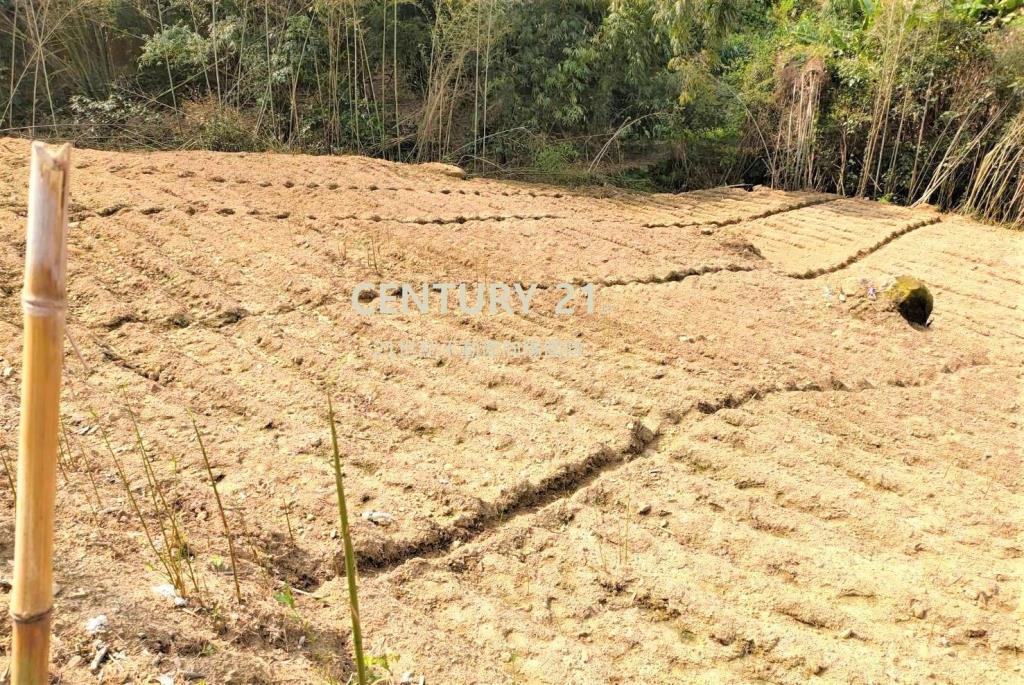【向陽團隊】大湖休閒農場用地