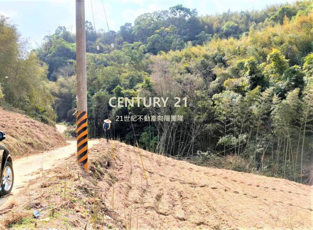 【向陽團隊】大湖休閒農場用地