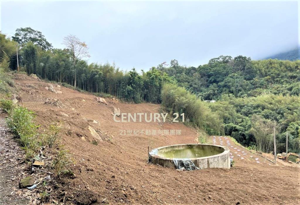 【向陽團隊】大湖休閒農場用地