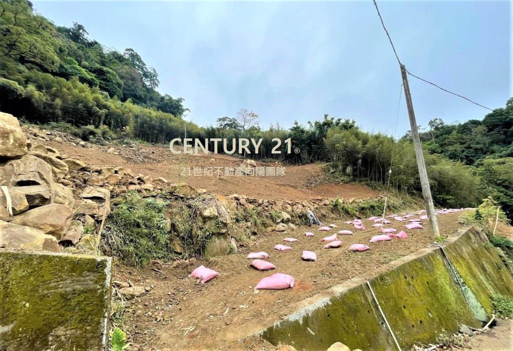 【向陽團隊】大湖休閒農場用地