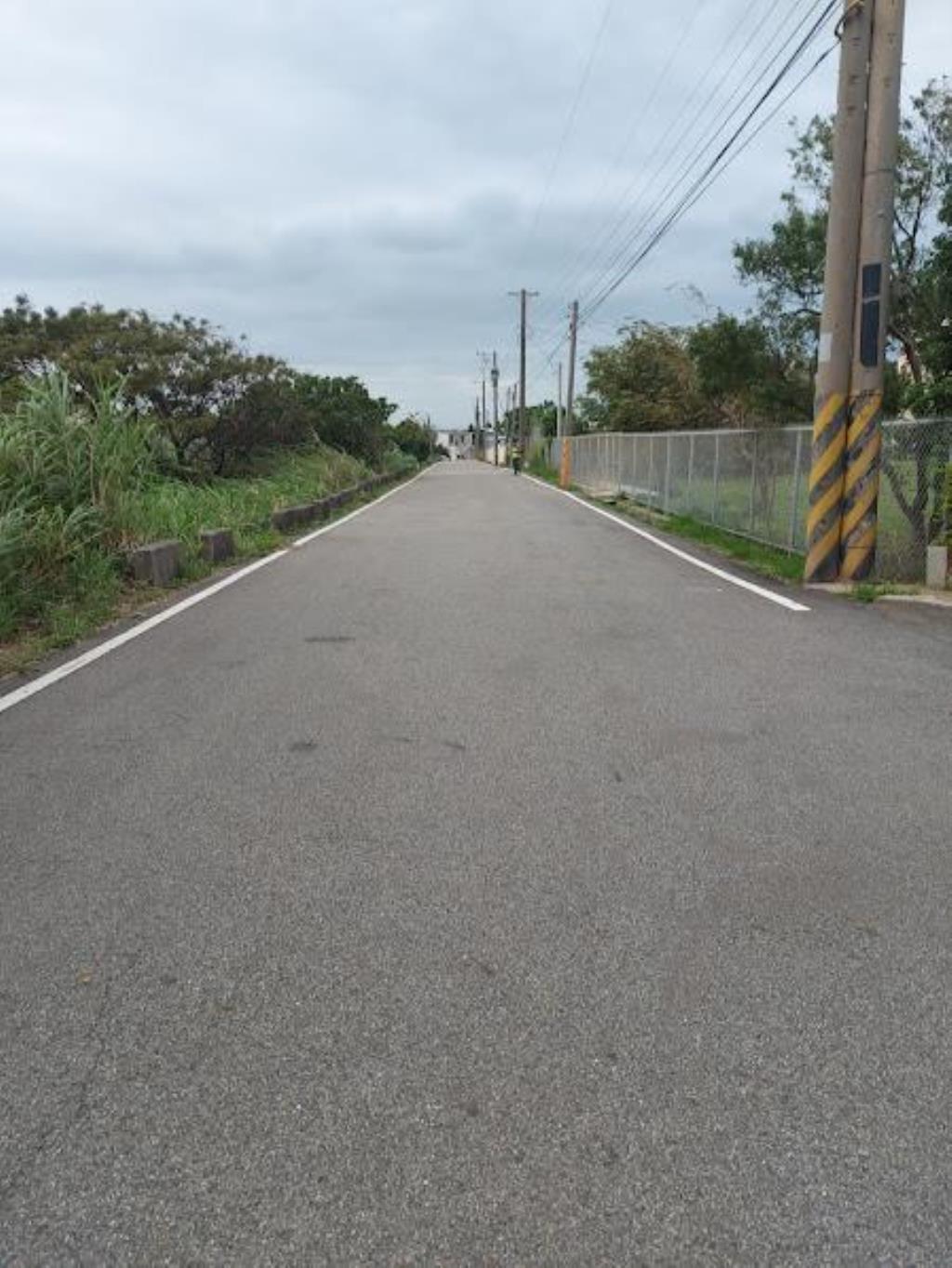 【向陽團隊】專任新屋方正一般農