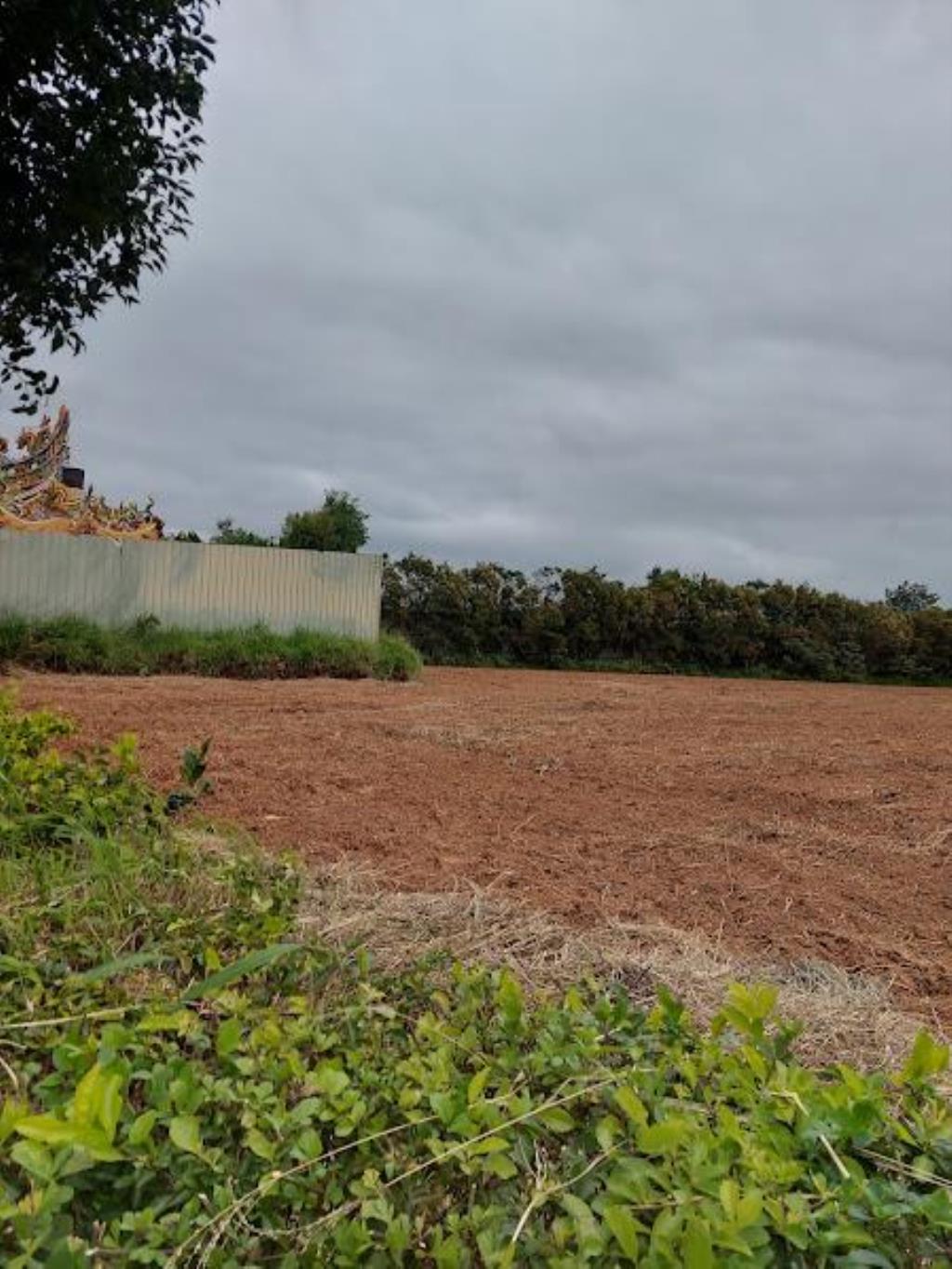 【向陽團隊】專任新屋方正一般農