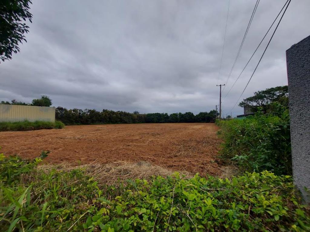 【向陽團隊】專任新屋方正一般農