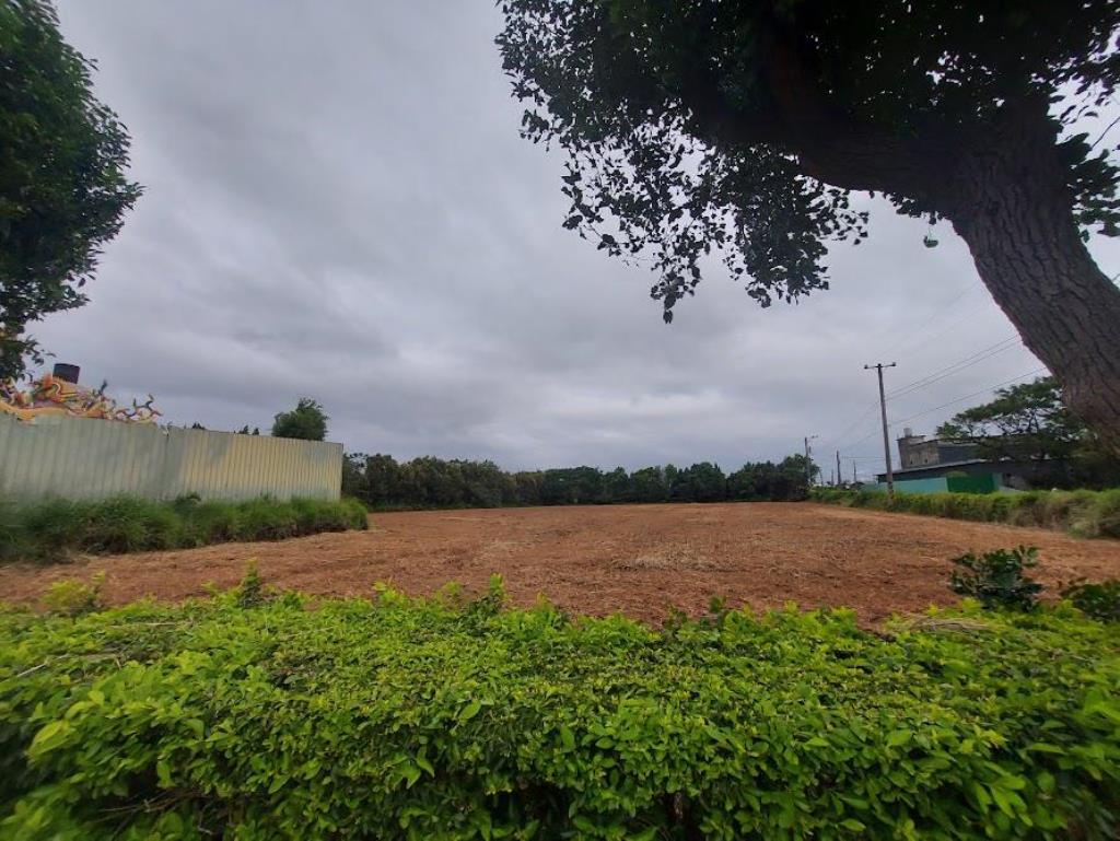 【向陽團隊】專任新屋方正一般農