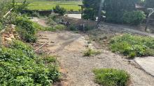 【向陽團隊】新屋土地公廟旁美農地