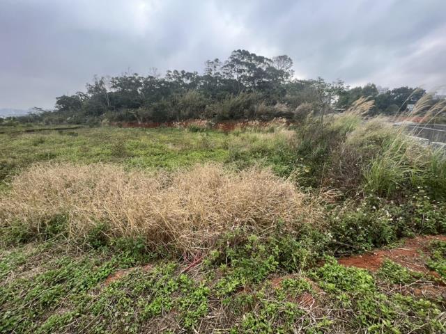 【向陽團隊】專任中央大學都內小坪數美農地