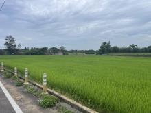 【向陽團隊】新屋三面臨路美田