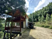 新竹橫山梢楠全新渡假小屋(農地)A