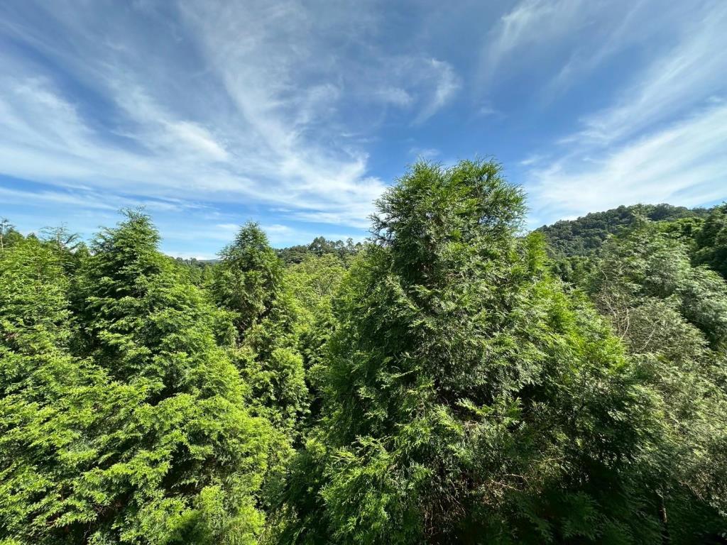 新竹橫山梢楠全新渡假小屋(農地)C