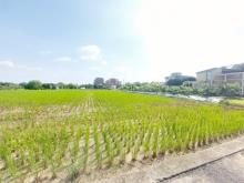 【向陽團隊】山東國小美農地