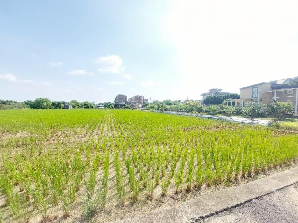 【向陽團隊】山東國小美農地