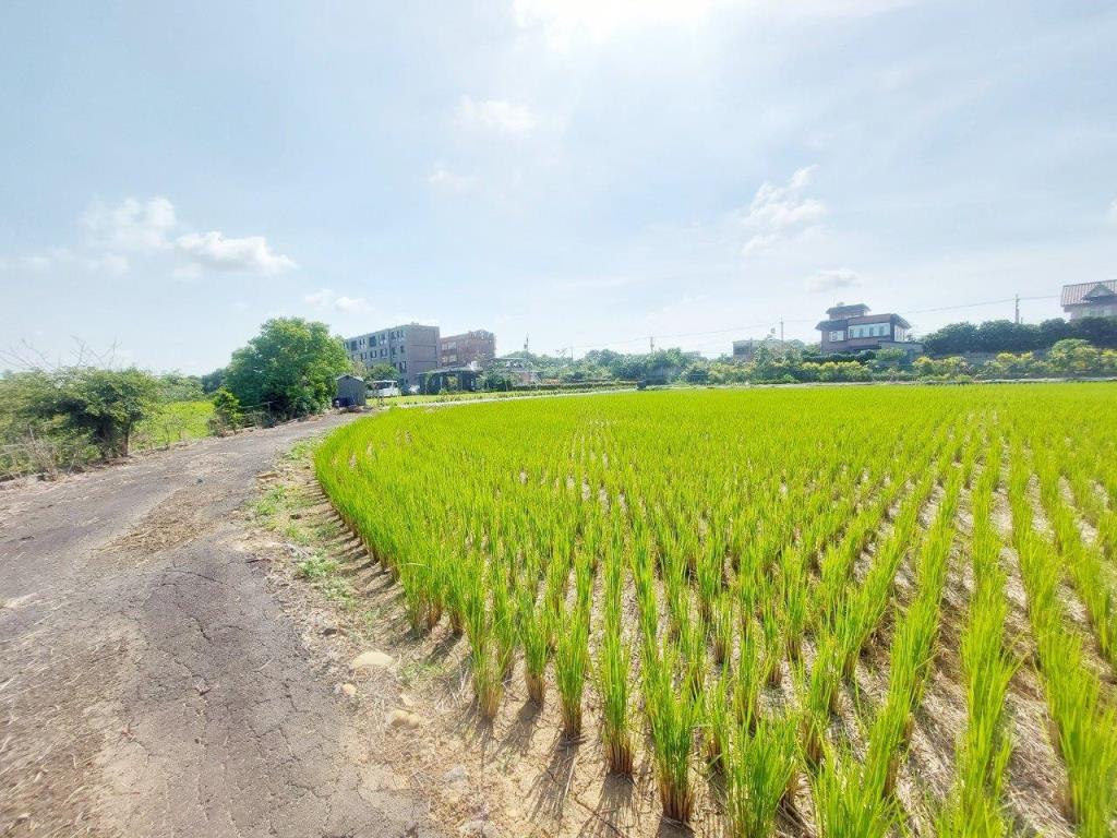 【向陽團隊】山東國小美農地