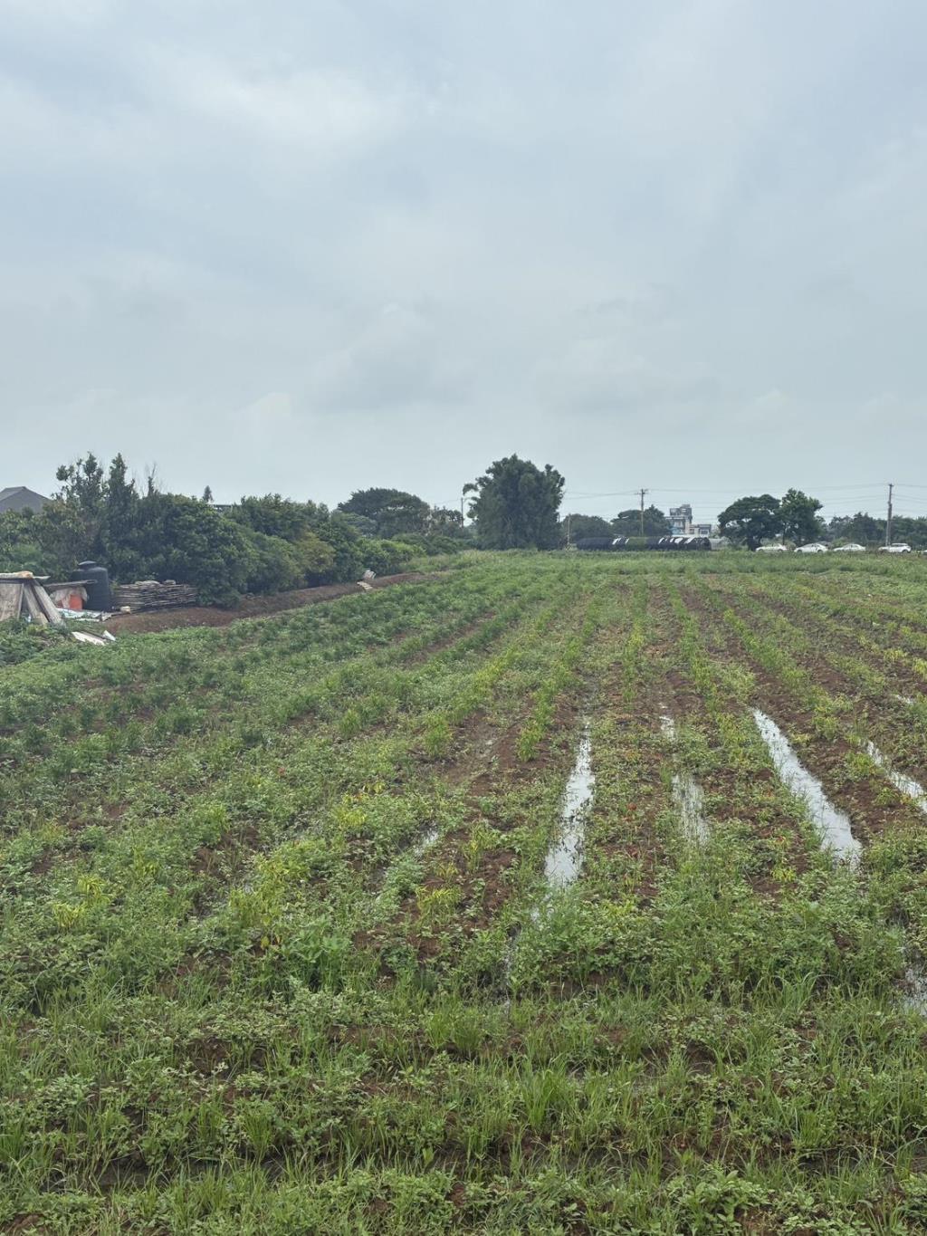 【向陽團隊】中壢月眉特農帶建照
