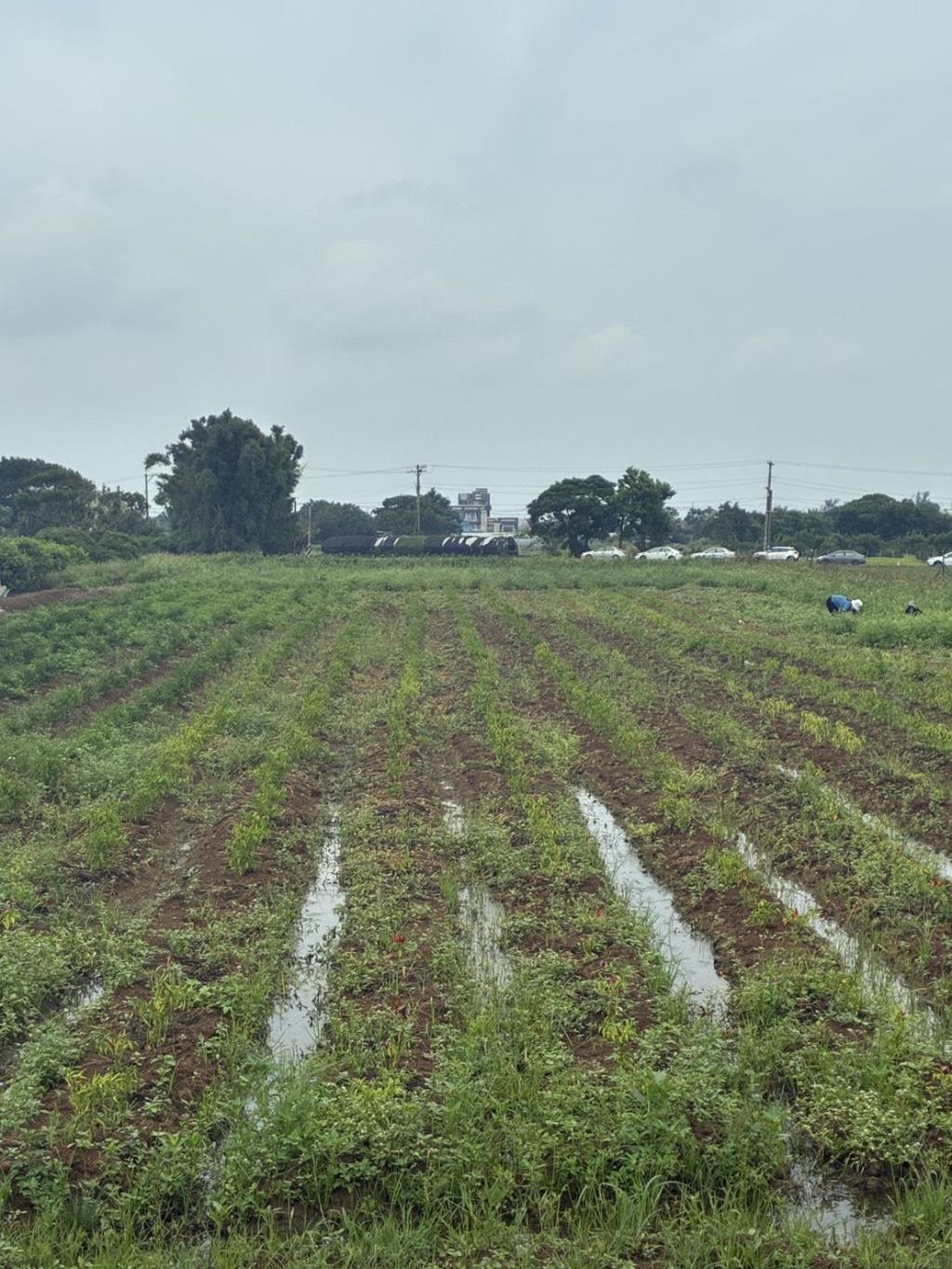 【向陽團隊】中壢月眉特農帶建照