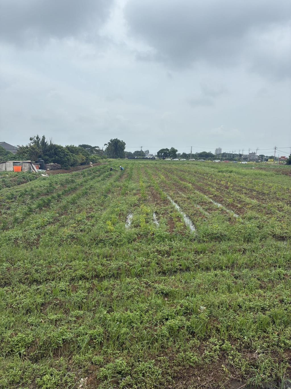 【向陽團隊】中壢月眉特農帶建照