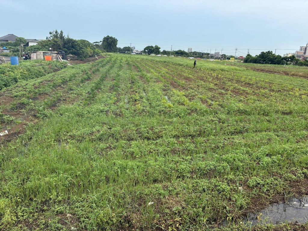 【向陽團隊】中壢月眉特農帶建照