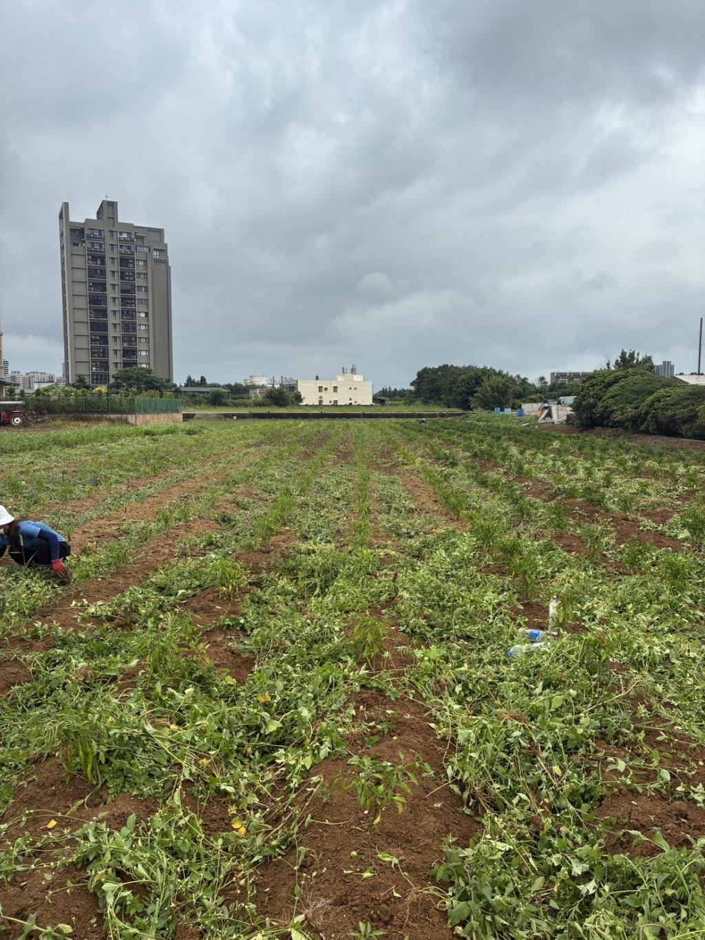 【向陽團隊】中壢月眉特農帶建照