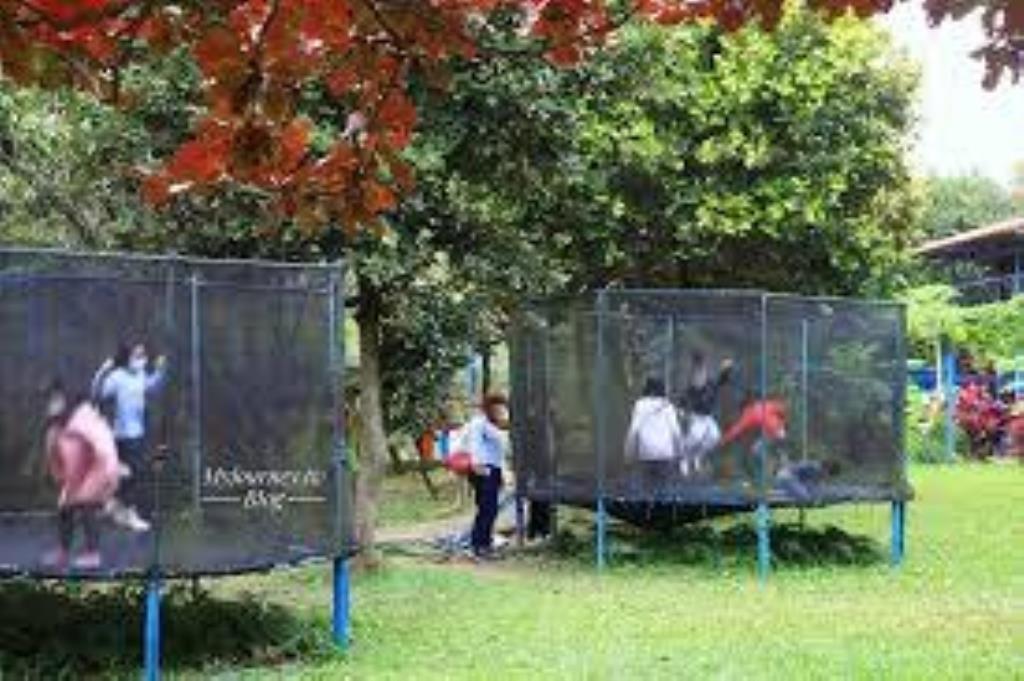 【向陽團隊】老貝殼休閒農場