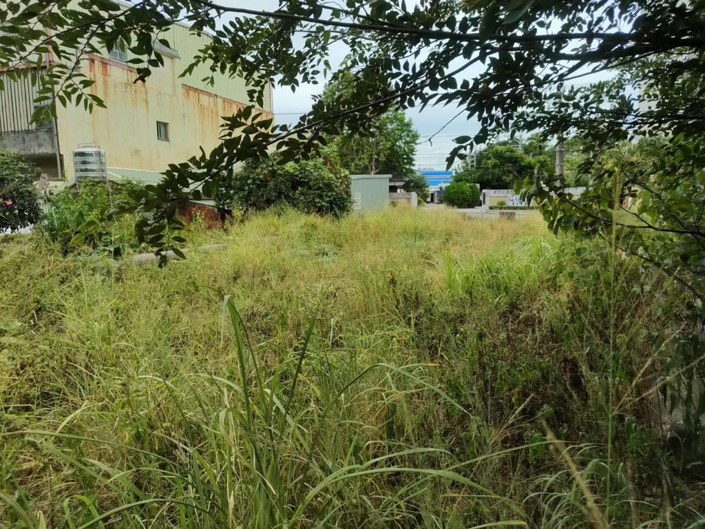 【向陽團隊】臨八米路山東三面路甲建