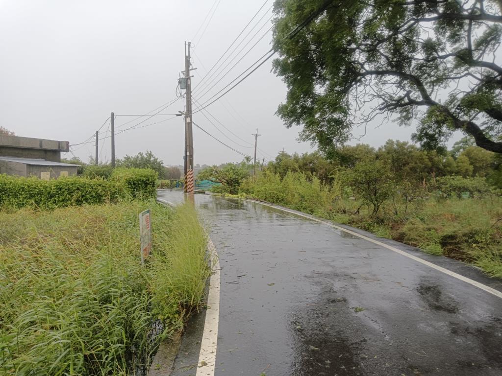 【向陽團隊】新屋區美農地