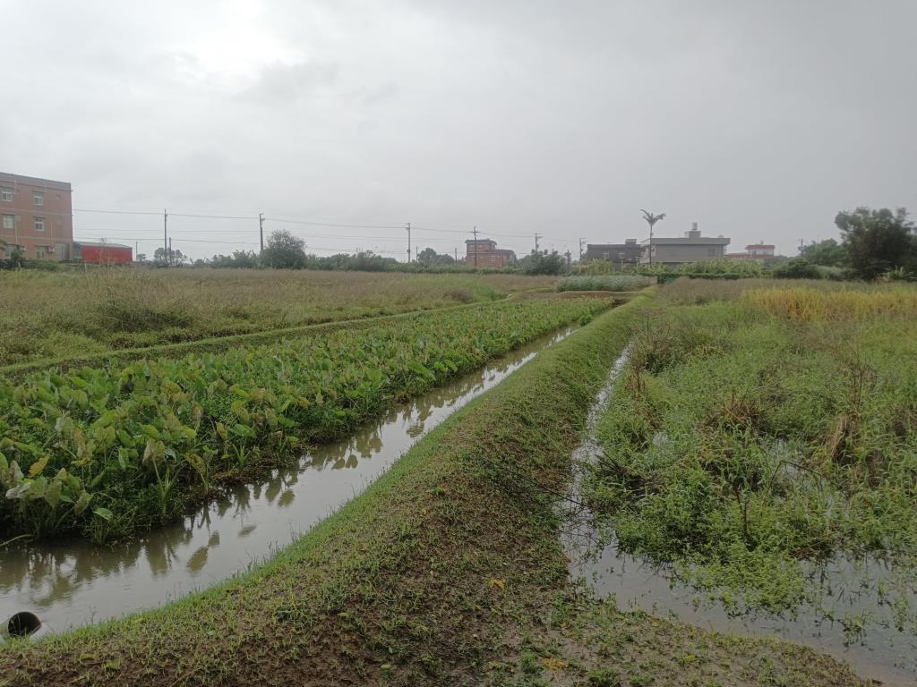 【向陽團隊】新屋區美農地