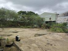 【向陽團隊】桃園高鐵八米路丁建工業地