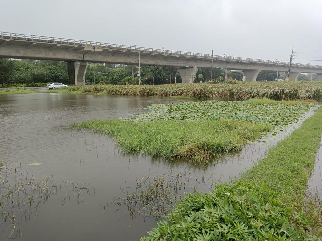 【向陽團隊】新屋莫內咖啡旁美農地