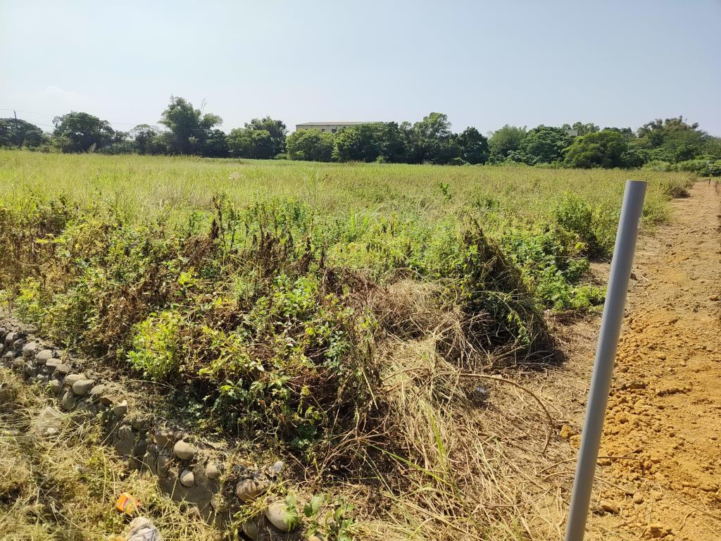 【向陽團隊】蘆竹新福段方正美農地