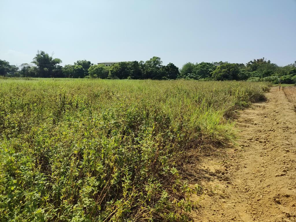 【向陽團隊】蘆竹新福段方正美農地