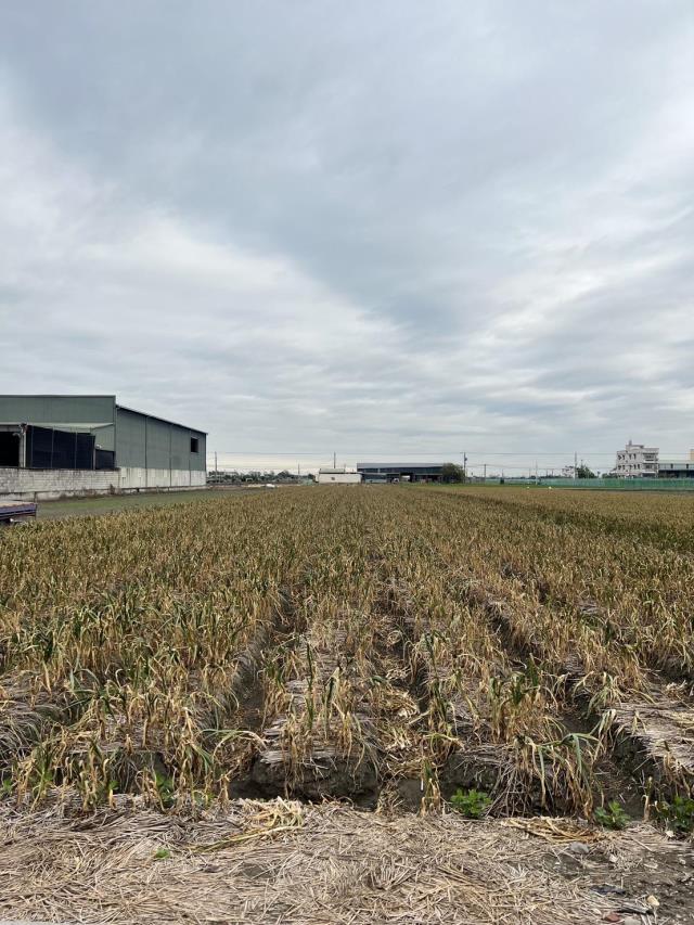 【向陽團隊】專任!雲林虎尾國中優質農地